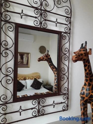 Riad Safina - photo 38