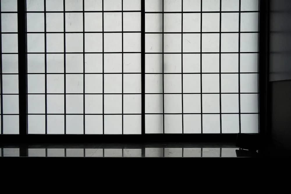 32 Paradox - photo 14
