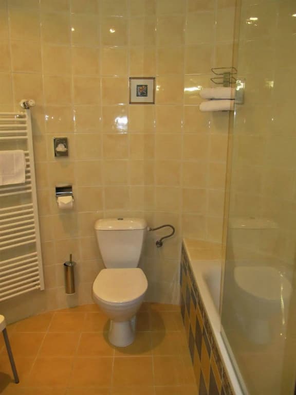 Hotel Amadeus - photo 7