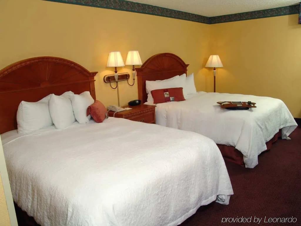 Orlando Palms Hotel - photo 6