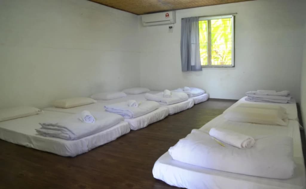 Refarm - photo 3