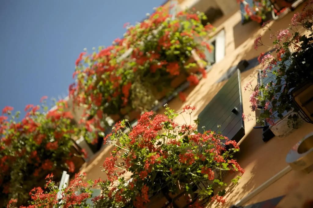 Hotel Al Codega - photo 14