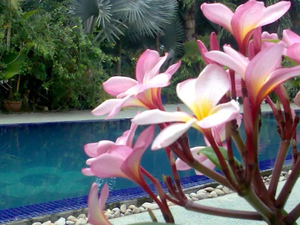 Seri Pengantin Resort - photo 8