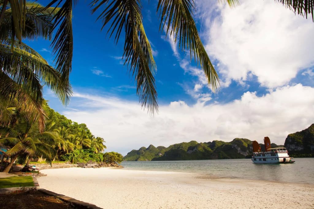 Phoenix Luxury Cruise Halong - photo 16