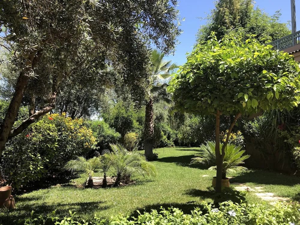 Villa Dar Shamsi - photo 11