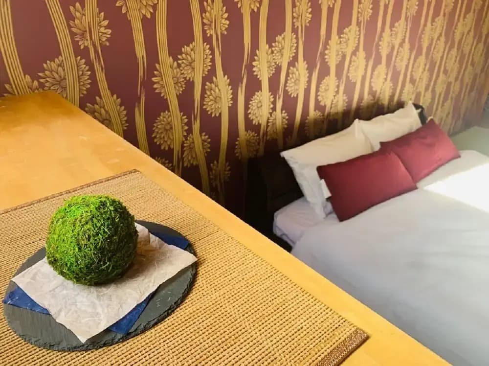 Hotel-Ikoi-Komagome 102 - photo 3