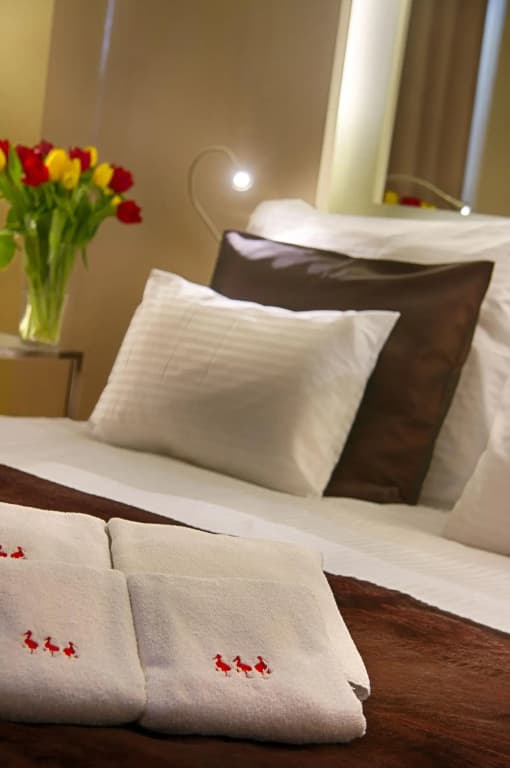 Hotel Three Storks - photo 37