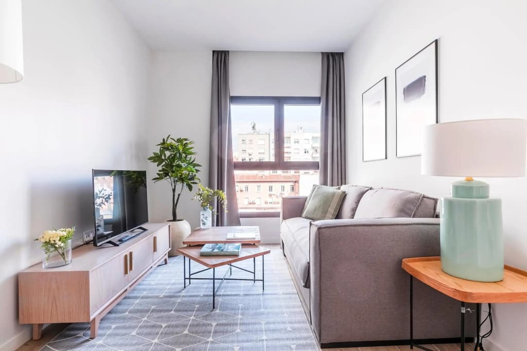 Feelathome Goya Apartments - photo 4