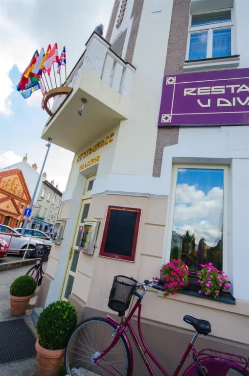 Hotel U Divadla - photo 14
