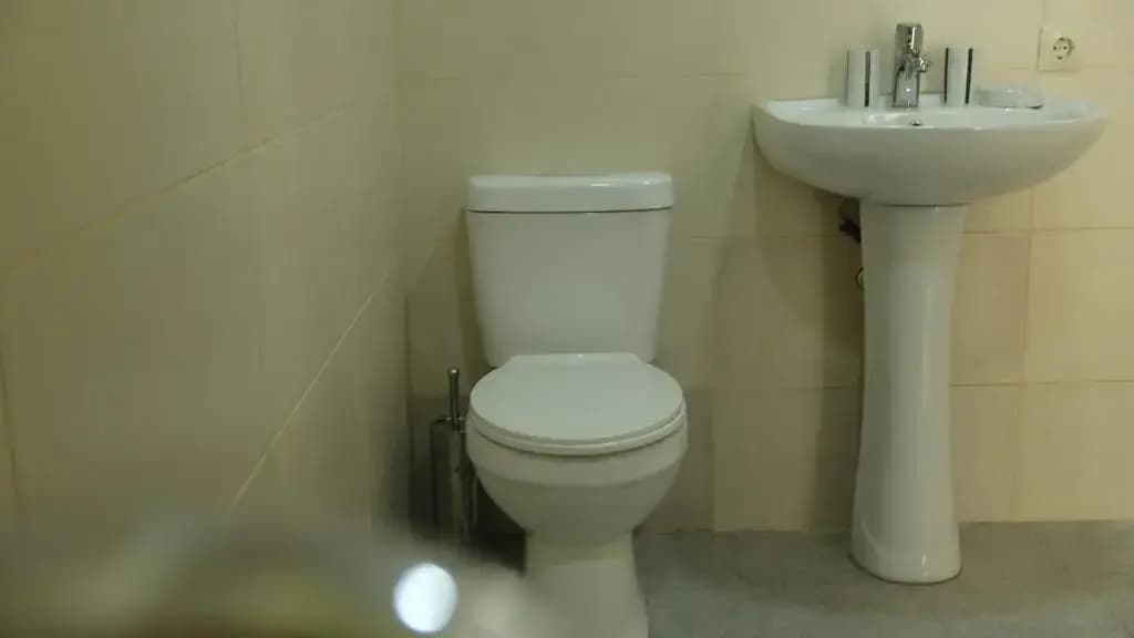 Apartment Ninoshvili 15 - photo 3