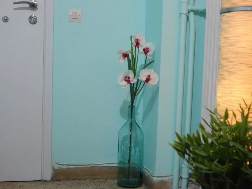 Feels Like Home 2 - photo 12