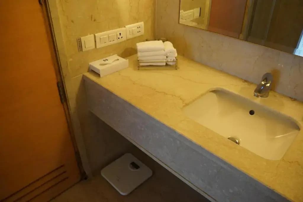Jaypee Vasant Continental - photo 8