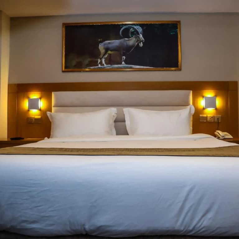 Muscat Plaza Hotel - photo 19