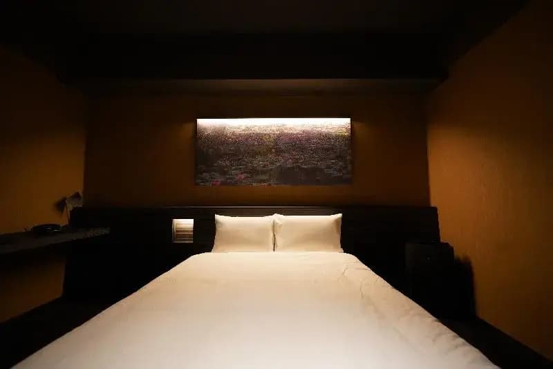 Hotel Hasu - photo 11
