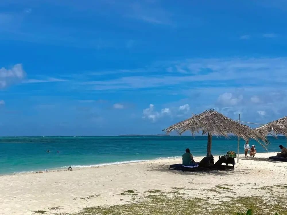 WhiteSand - photo 31