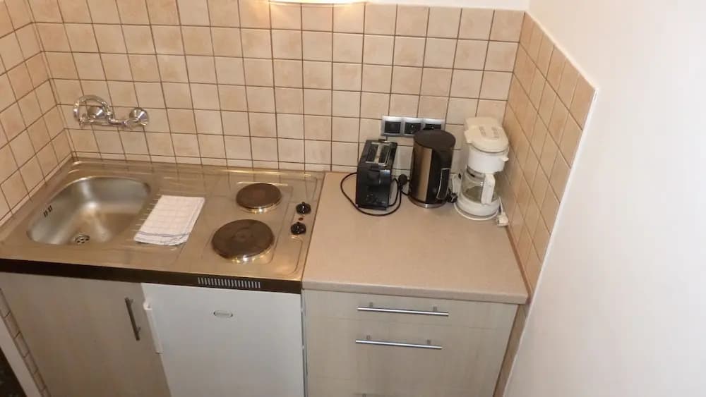 Aparthotel Rothensteiner - photo 25