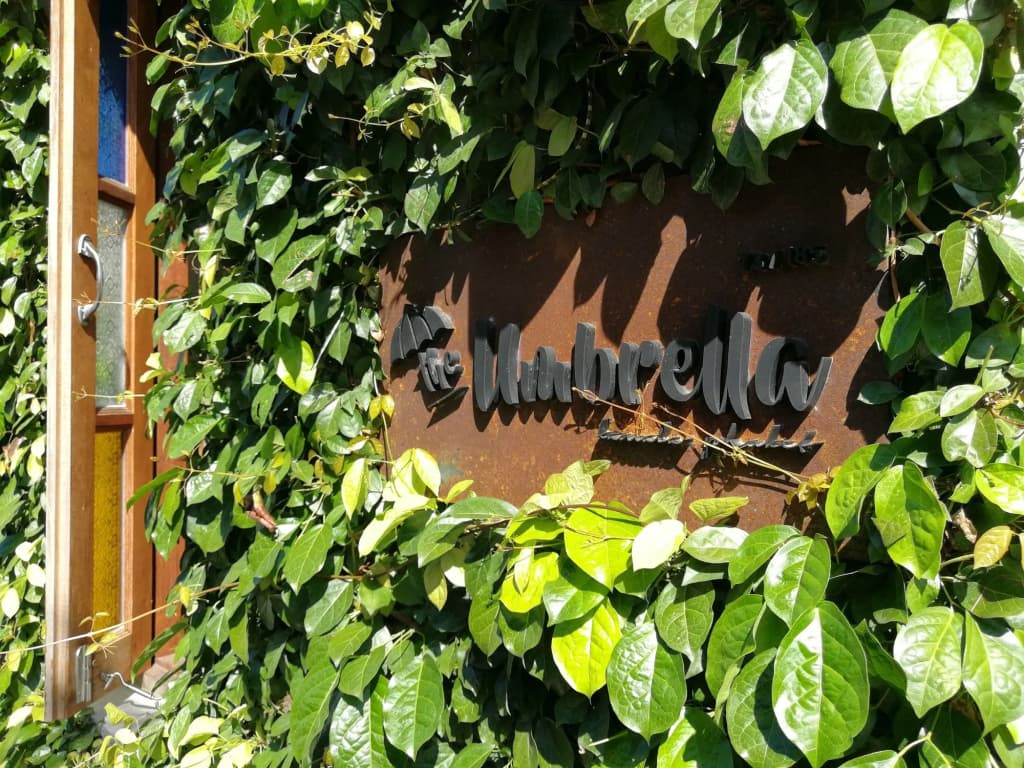 The Umbrella House - photo 1
