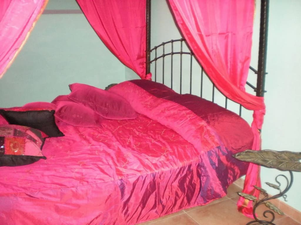 Shiva Bed and Breakfast - photo 4