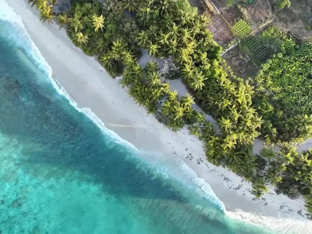 Suffix Retreat - Stay, Dive & Explore Fuvahmulah - photo 32