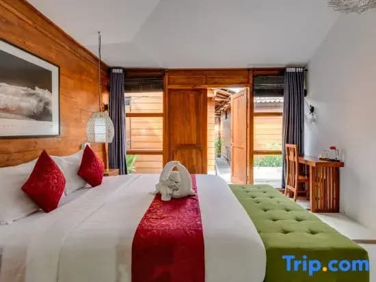 Turtle Villas Canggu - photo 23