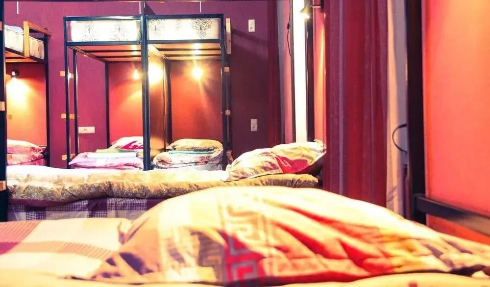 Hostel 26 - photo 5
