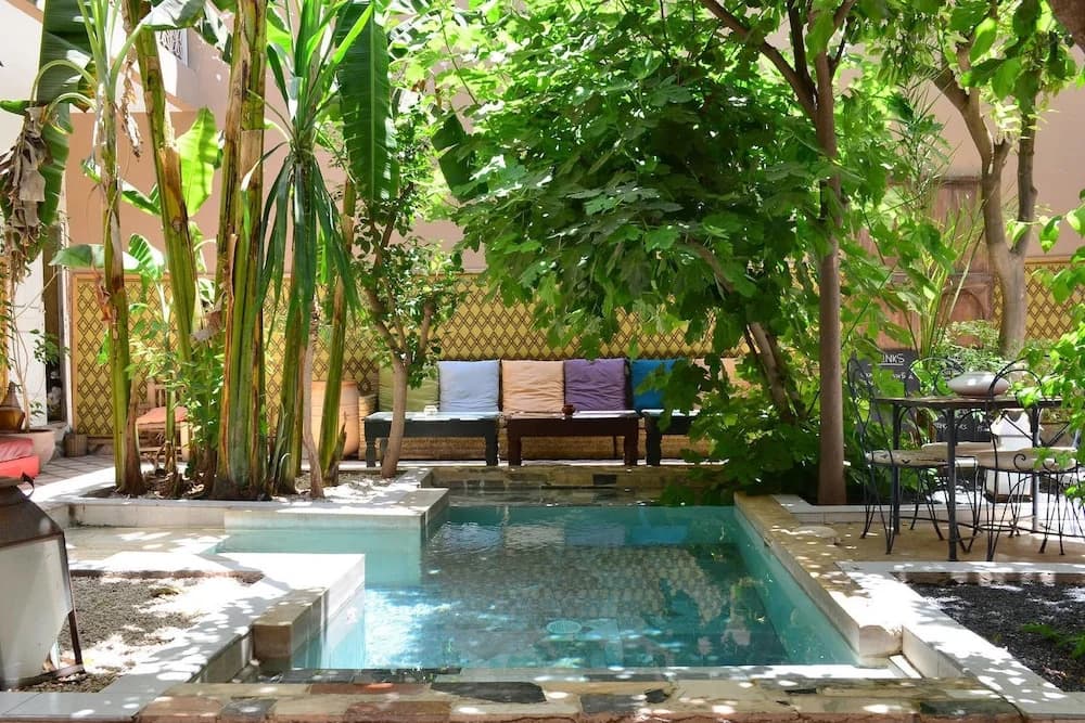 So Chic Riad - photo 11