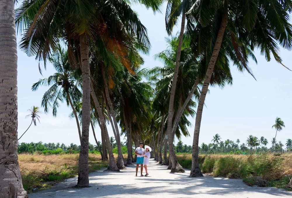 Muraka Inn Thoddoo - photo 8