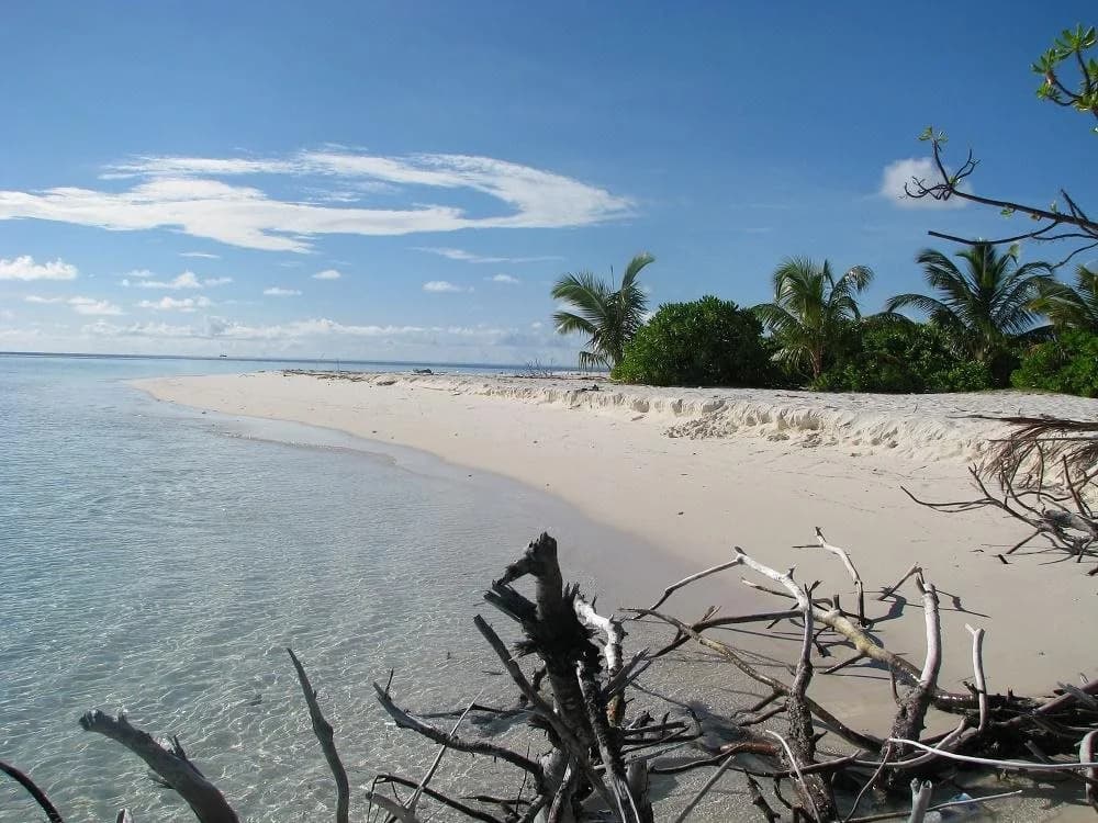 Apquo Veli Hotel Nilandhoo - photo 9