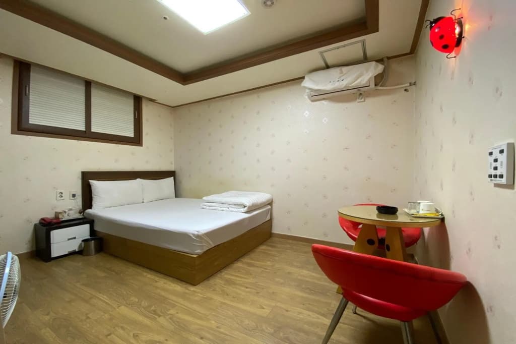 Nowon Qt - photo 2