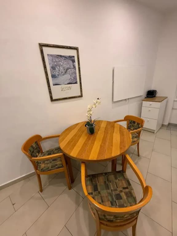 Budget 1BR Apt Close to Westbahnhof - photo 8