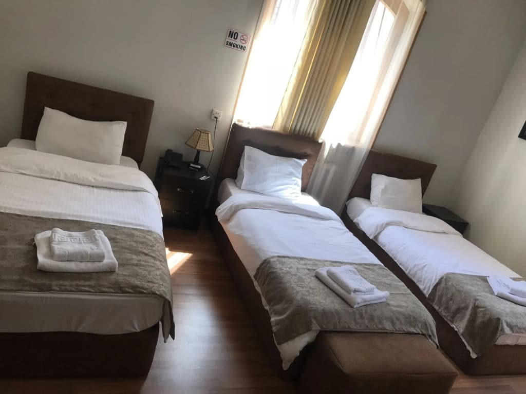 Valeria Hotel Tbilisi - photo 4