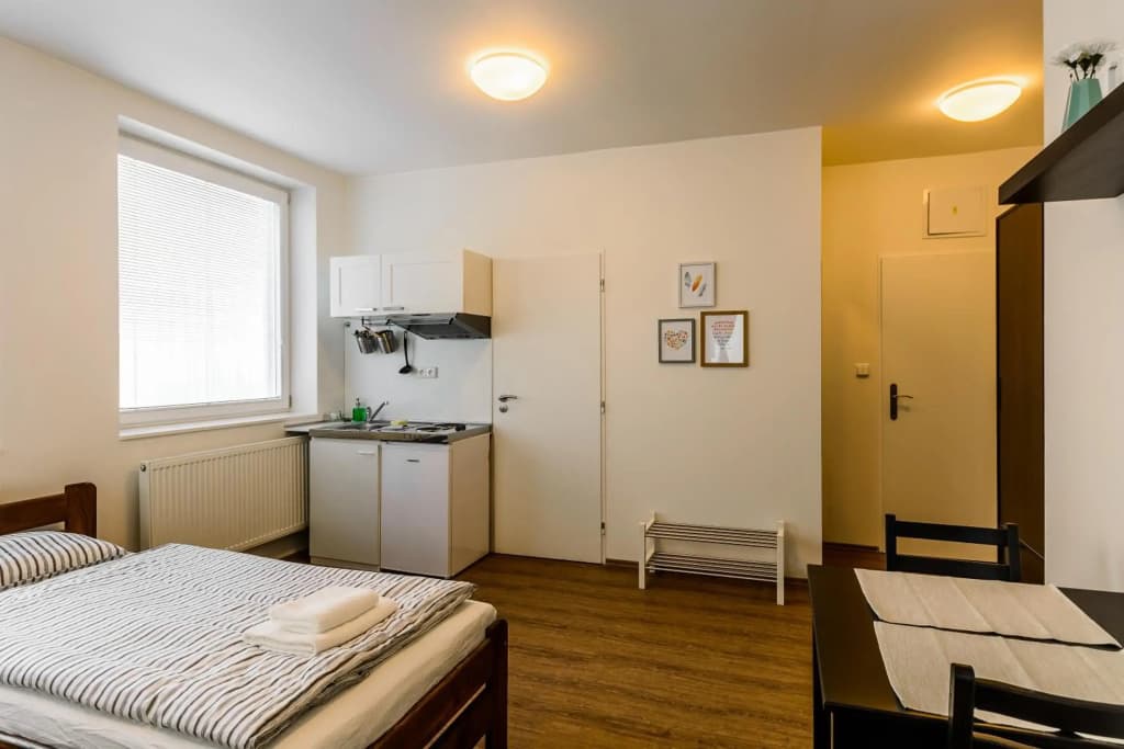 Zizkov Cosy Studio Apartments - photo 17
