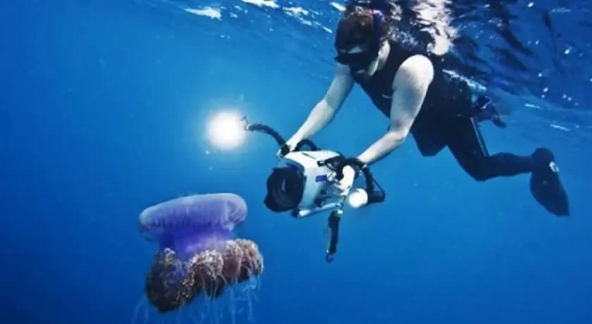 Maldives Princess - photo 9