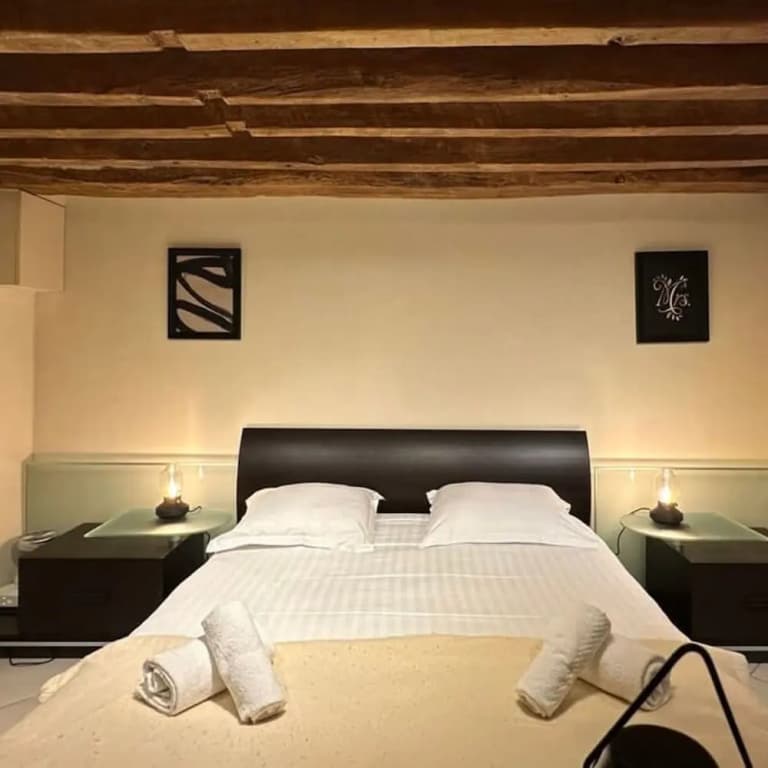 Charming Tuileries 1 Bed Apt in the Centre of Paris - photo 6
