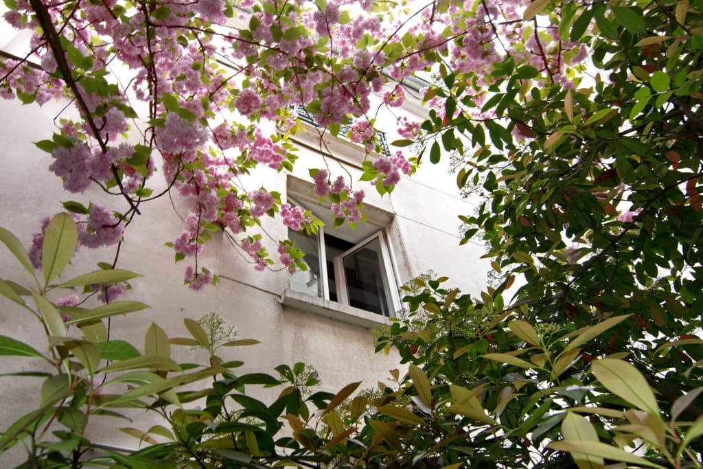 My Nest Inn Paris Panthéon - photo 14