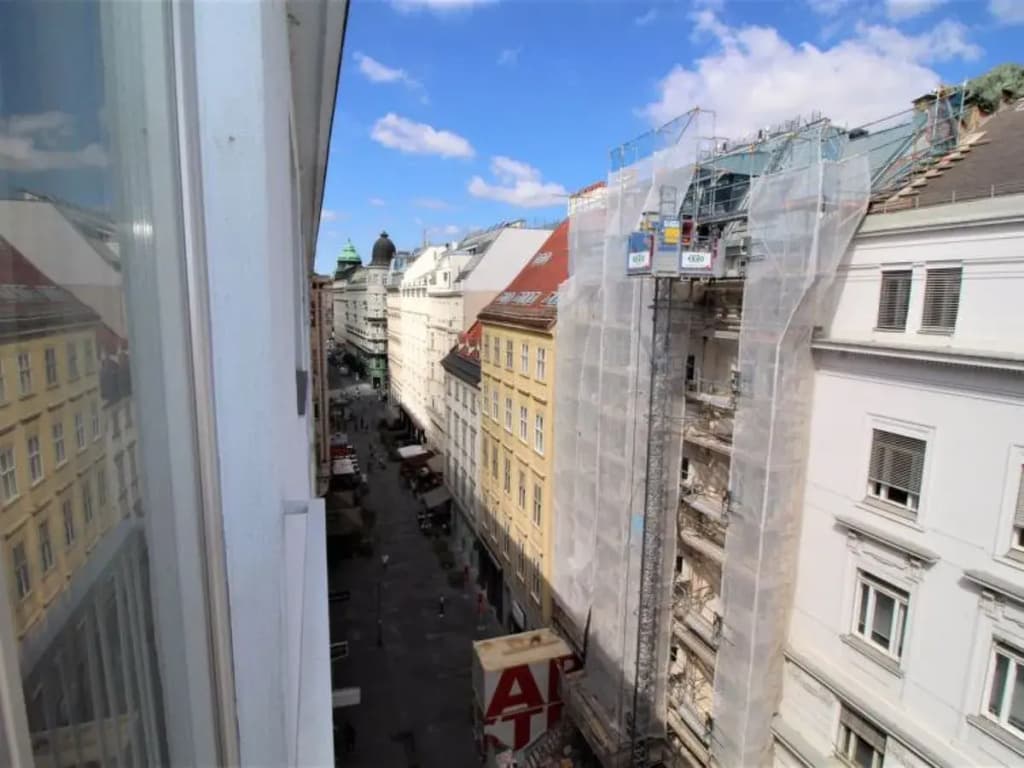 Apartment Opera Vienna / 1. District - photo 14