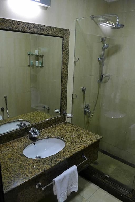 Palm Inn Hotel Doha - photo 14