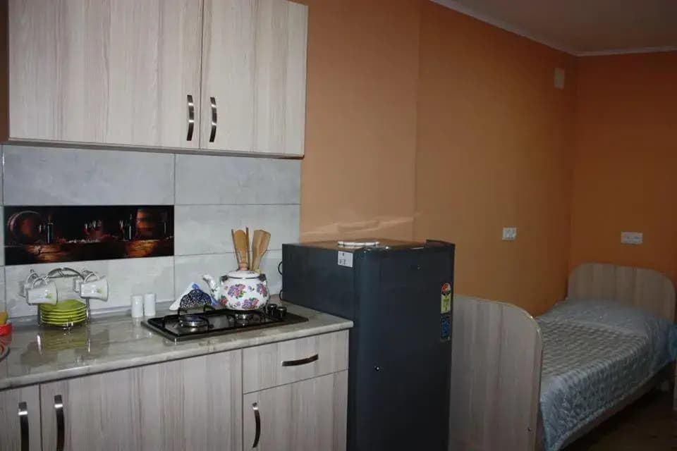 Guesthouse on Benashvili - photo 13