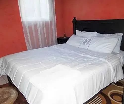 Riad Joudia - photo 3