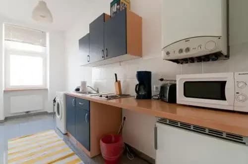 Premium Apartments Klimschgasse - photo 15