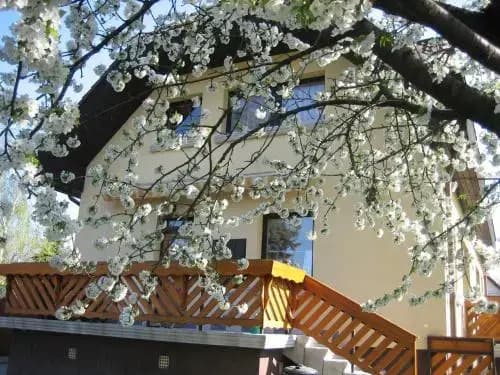 St. Michael Apartman - photo 10