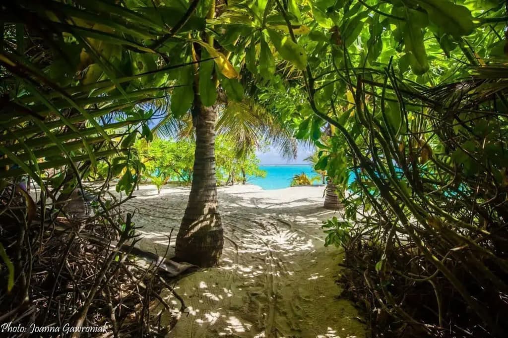 Thoddoo Beach View by Vista - photo 9