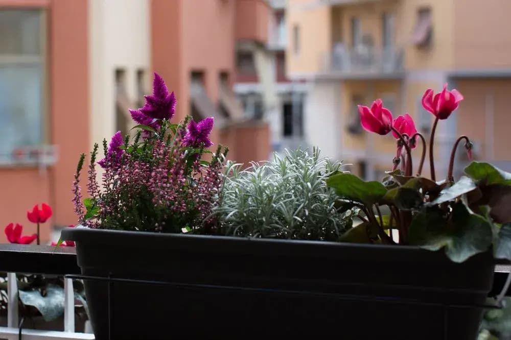 Rome By Suite Vatican - photo 14