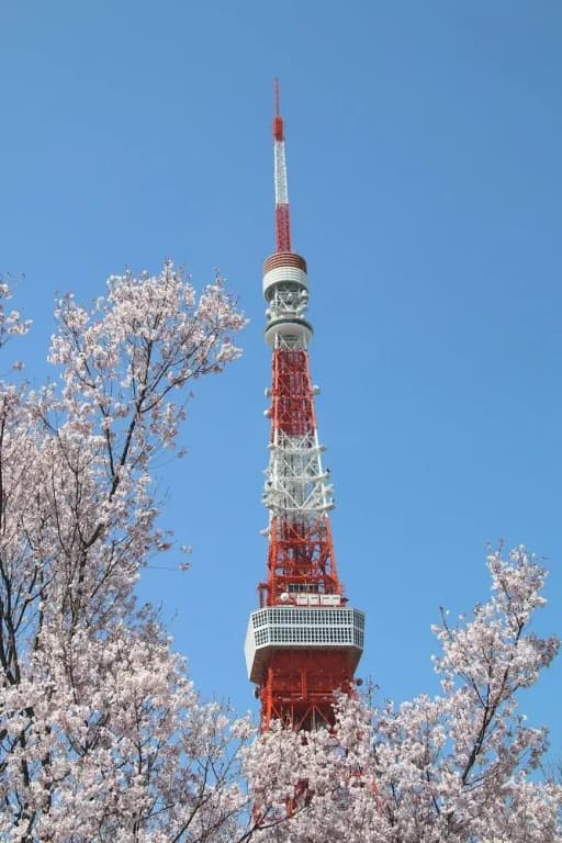 Tokyomonogtari Shinobi - photo 24