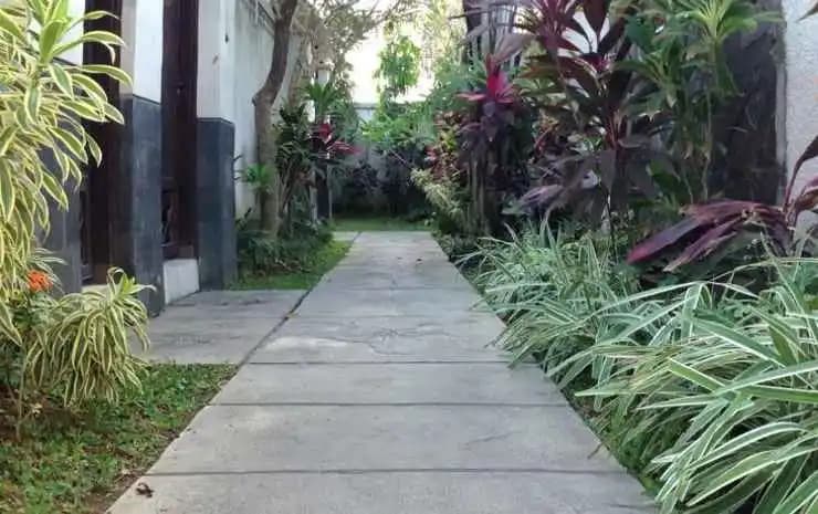 The LAPAN Bed&Breakfast - photo 11