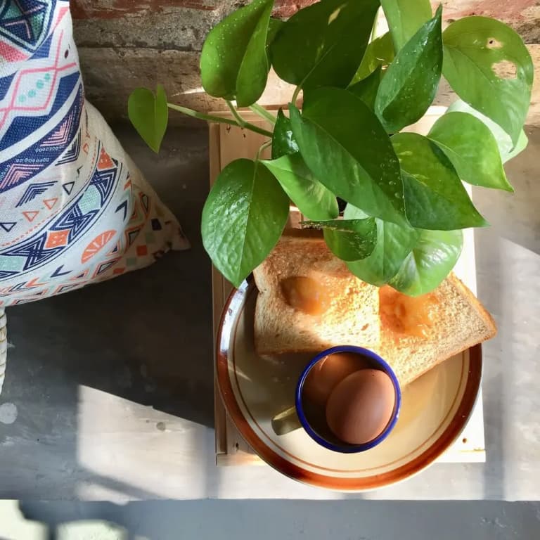 Vspace Guesthouse & Cafe - photo 21