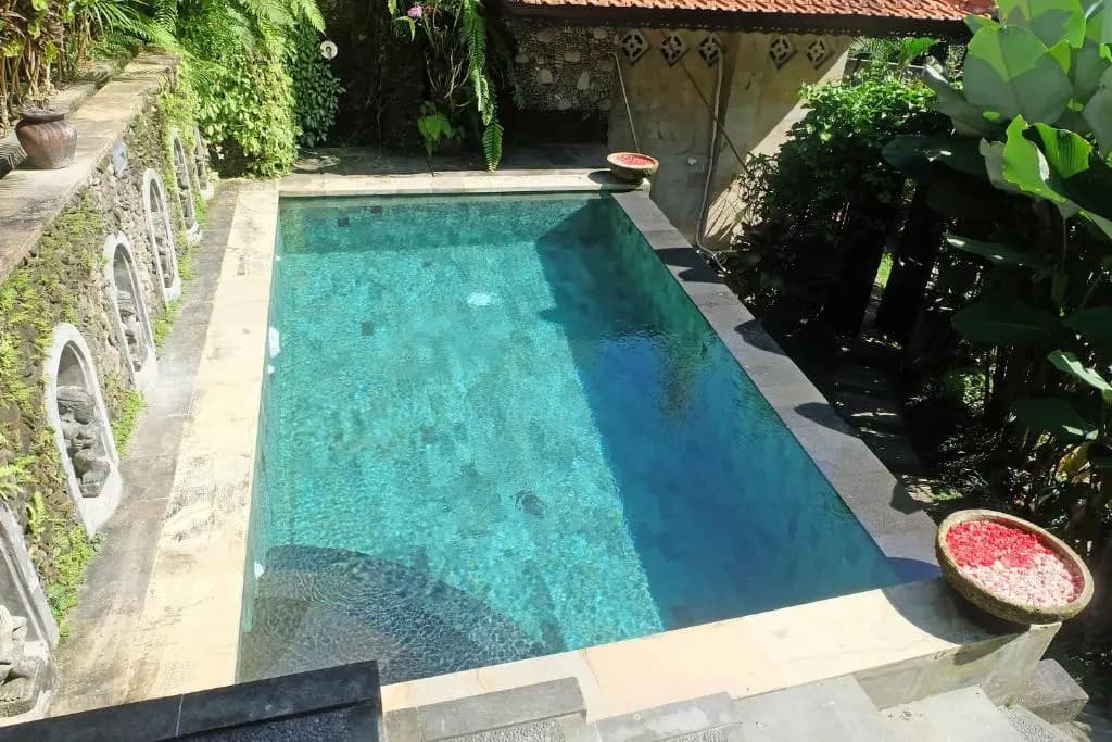 Rumah Kelinci - photo 16