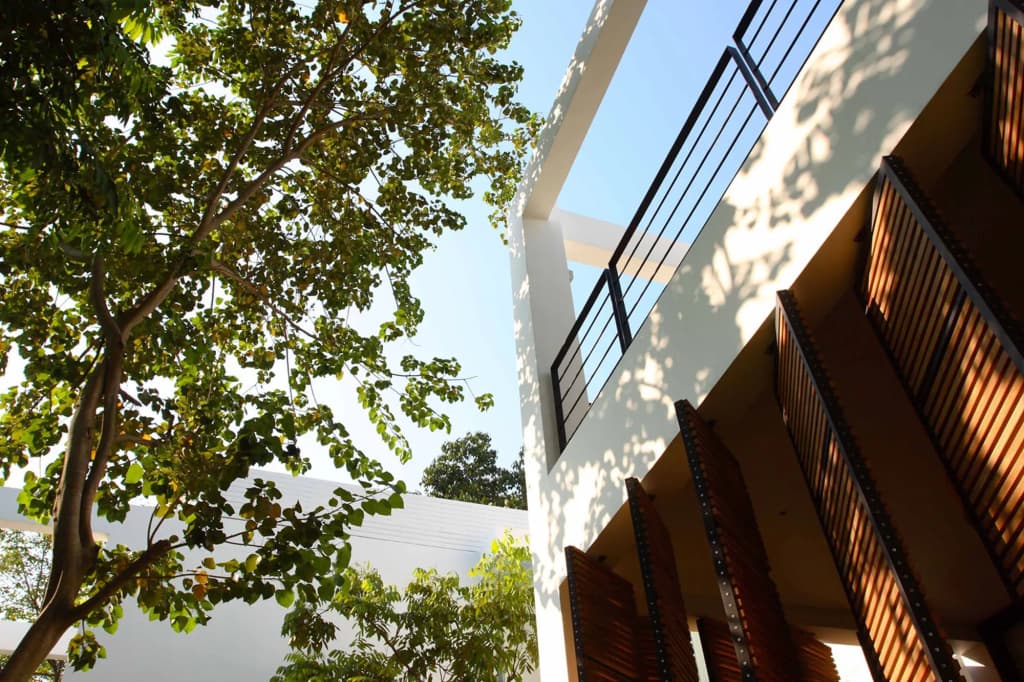 The Library - photo 28