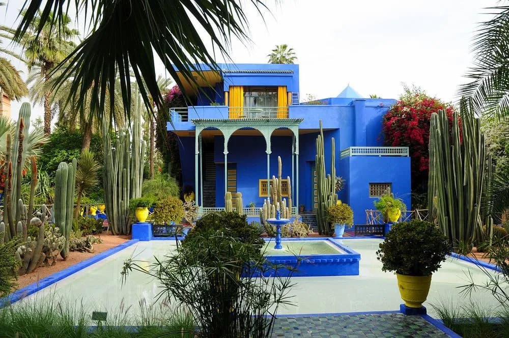 Riad Hanafi - photo 14