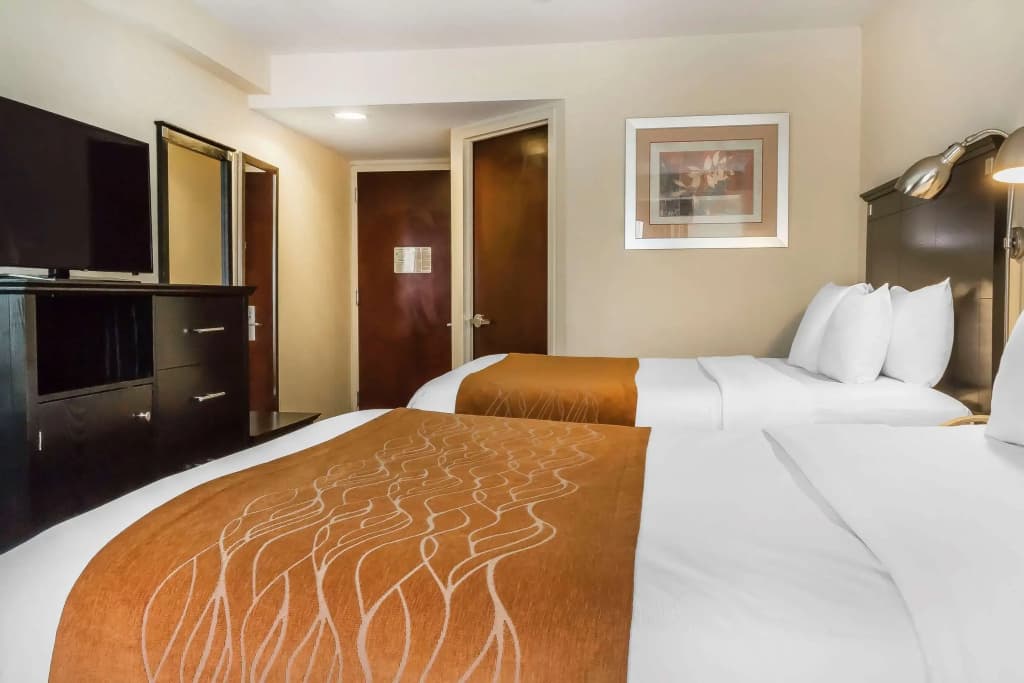 Comfort Inn & Suites LaGuardia Airport - photo 5